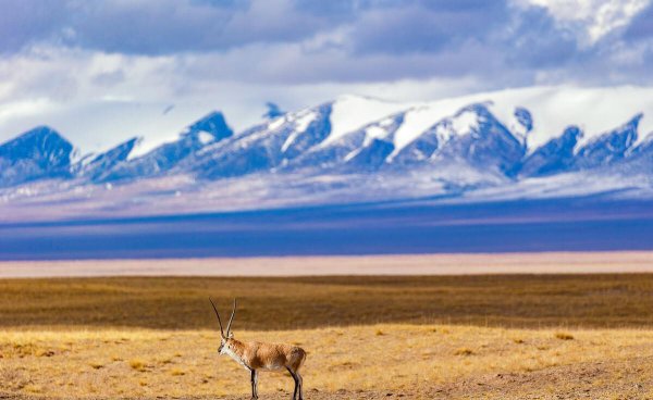 青海湖有多大面积