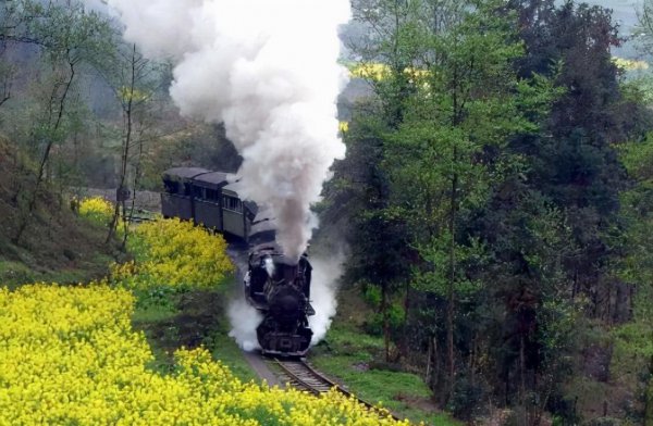 乐山属于哪个城市