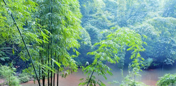 乐山属于哪个城市