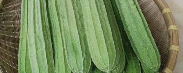 吃丝瓜的好处和坏处