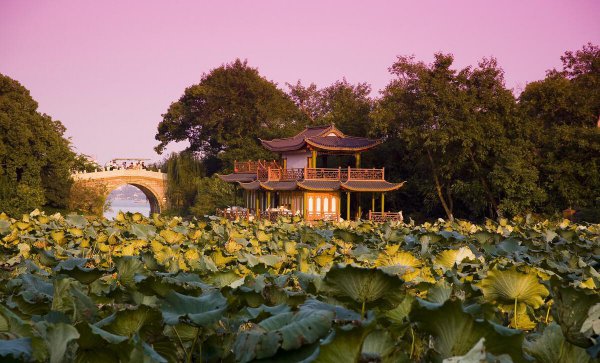 苏州杭州不在一个档次吗