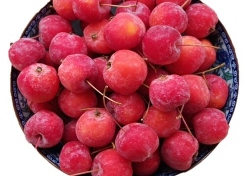 沙果和海棠果的区别