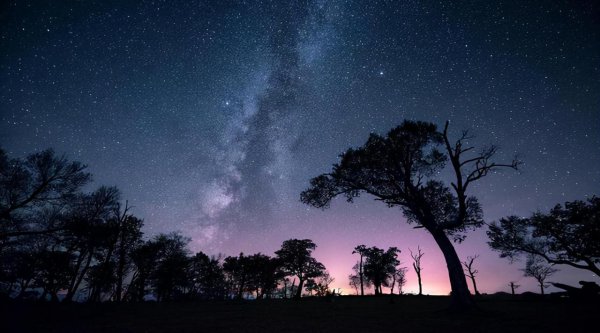 非常厉害却很低调的星座女