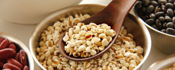 薏米芡实茶是热性还是凉性