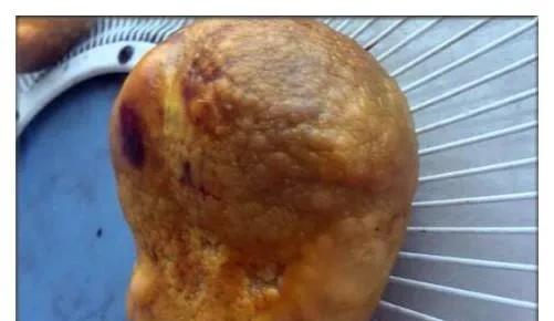 鸡宝到底值不值钱