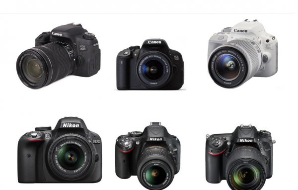 入门最好买全画幅还是半画幅