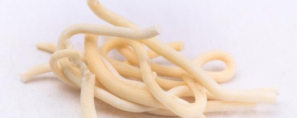 通草可以直接吃吗