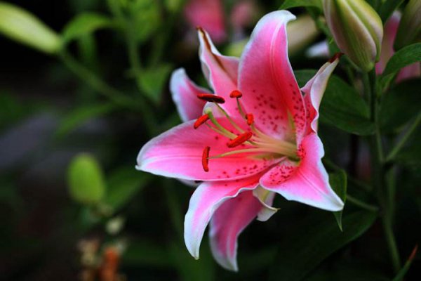 恋爱中最粘人的星座男排行