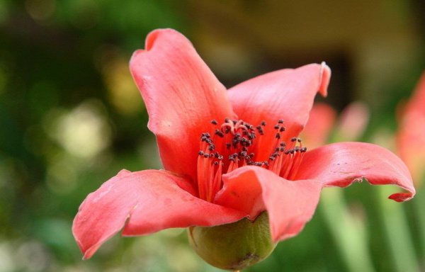 恋爱中最粘人的星座男排行