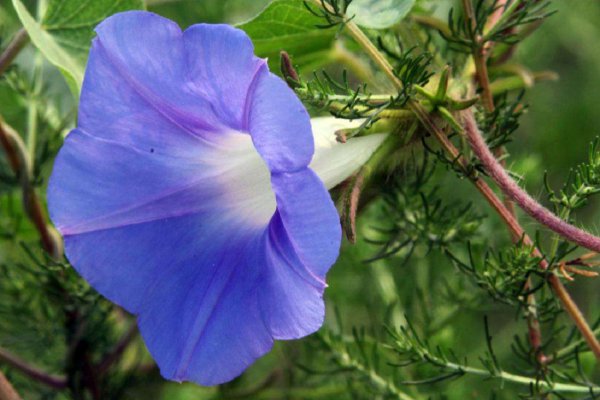 恋爱中最粘人的星座男排行