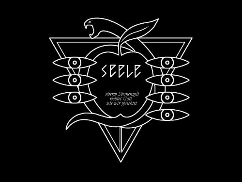 eva动漫是什么意思