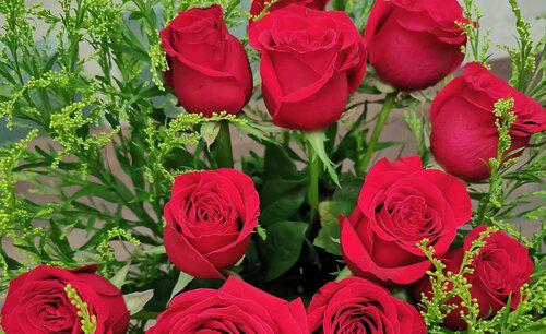 玫瑰花怎么晾干不变黑