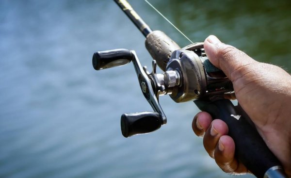 路亚竿水滴轮和纺车轮哪个好