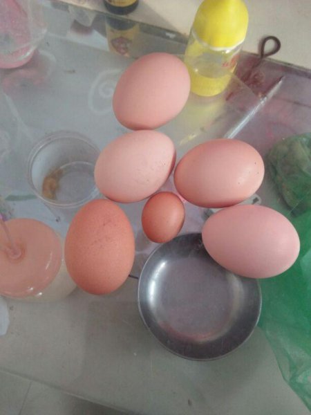 鸡蛋怎么保存时间最长最新鲜