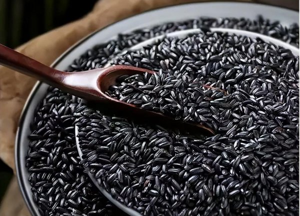 熬粥最好的大米排行榜