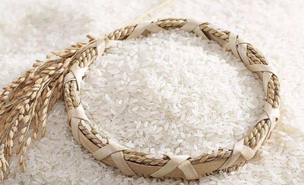 熬粥最好的大米排行榜