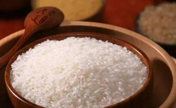 熬粥最好的大米排行榜