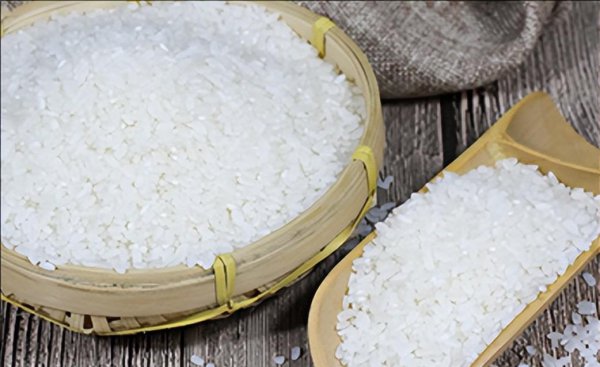 熬粥最好的大米排行榜