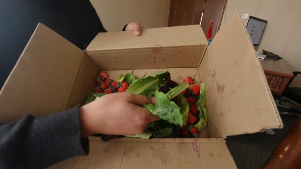 种蔬菜施什么肥最好