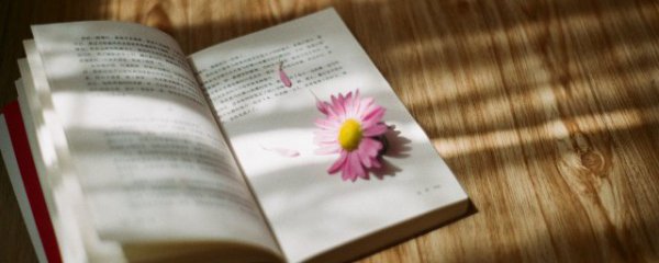 发给朋友的跨年句子