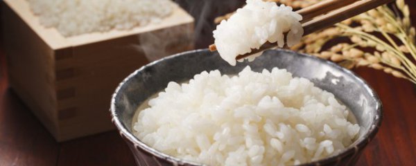 家里糙米怎么煮饭好吃