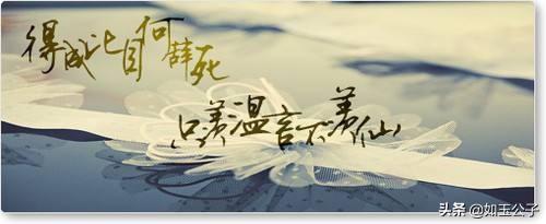 十年一品温如言小说简介