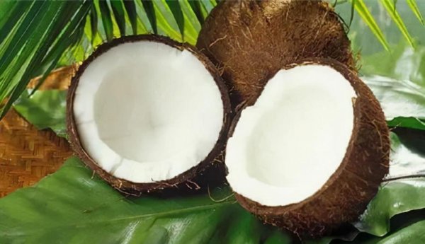 椰子里的白肉能直接吃吗