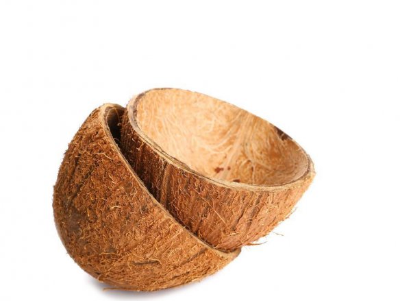 椰子里的白肉能直接吃吗