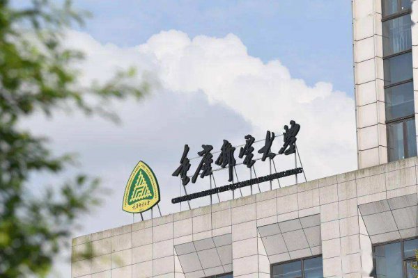 重庆有哪些大学可以考研