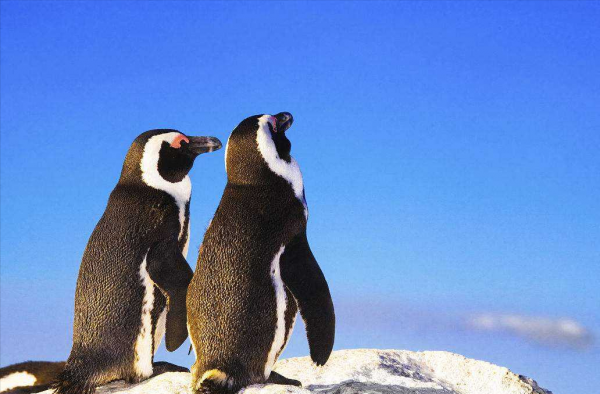 南非人均gdp是多少