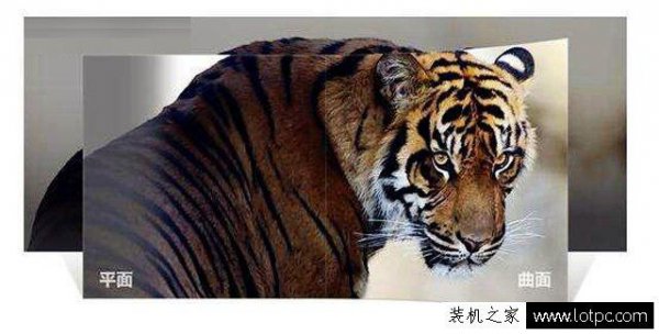 电脑曲面屏和平面屏哪个好