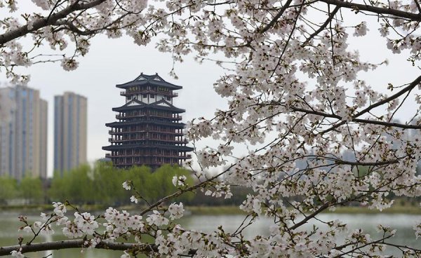 天门市属于哪个省份