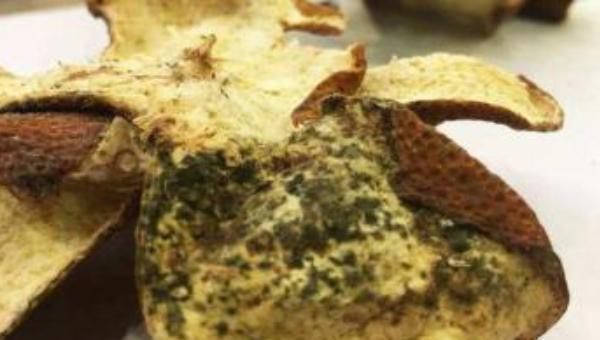 陈皮白霜和发霉有什么区别