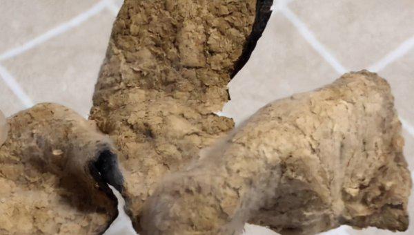 陈皮白霜和发霉有什么区别