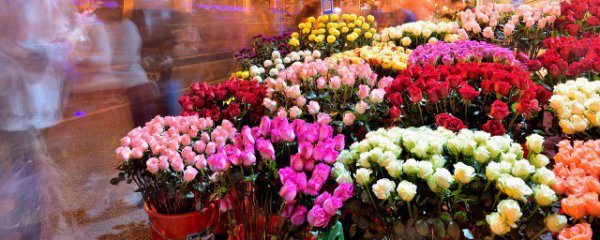 什么花适合送月子中妈妈