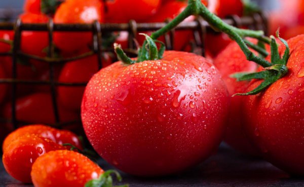 西红柿怎么保存新鲜不烂