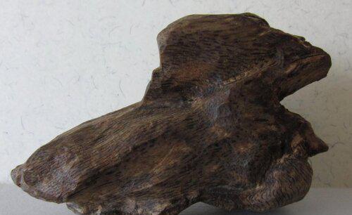 奇楠沉香的用途及价值