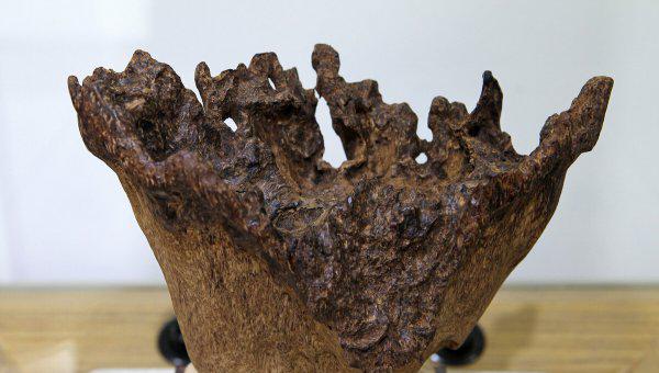 奇楠沉香的用途及价值