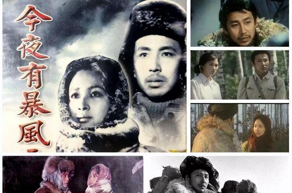 有关下乡知青的电视剧