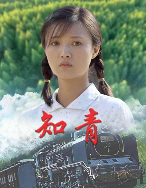 有关下乡知青的电视剧