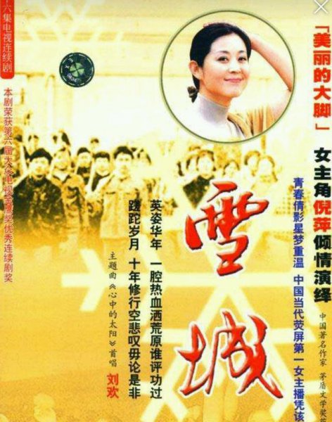 有关下乡知青的电视剧