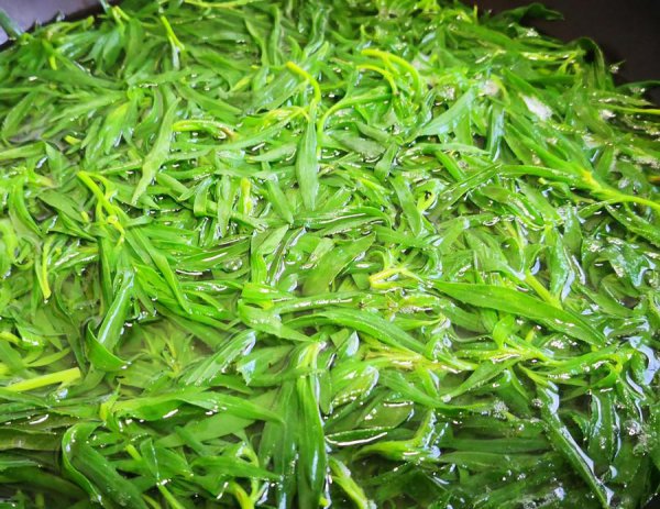 扫帚苗又叫什么菜