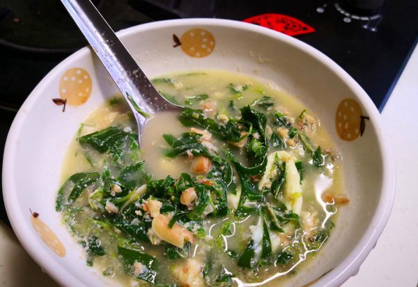 扫帚苗又叫什么菜