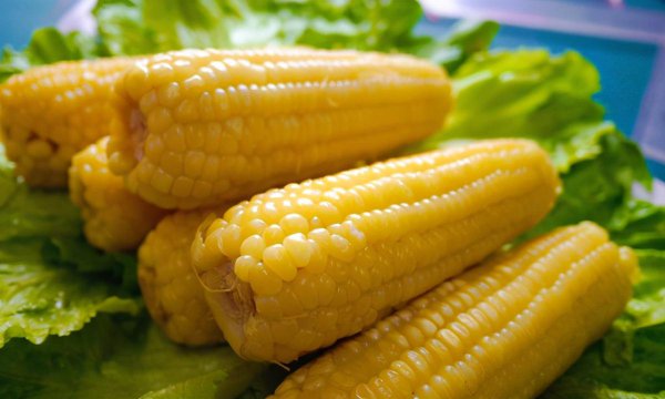 辽宁的丰富物产是什么东西