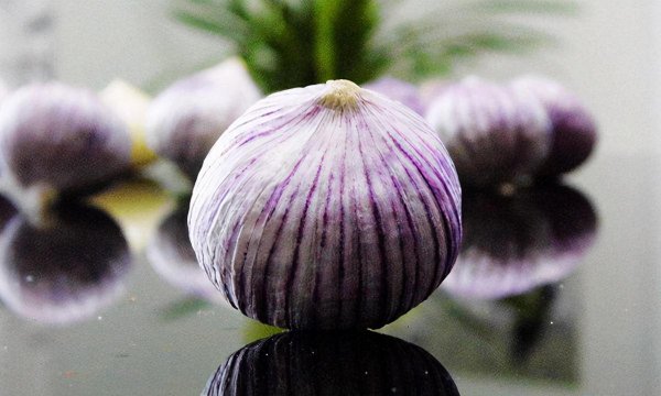 辽宁的丰富物产是什么东西