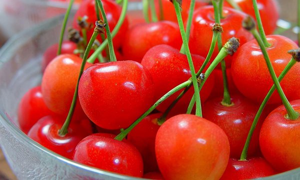 辽宁的丰富物产是什么东西