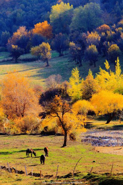 十大浪漫旅游胜地盘点