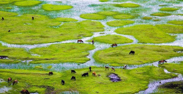 全国值得去的旅游胜地