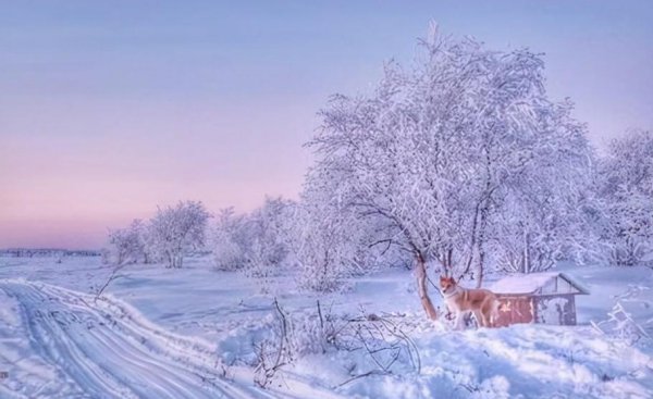 北极圈的纬度是多少