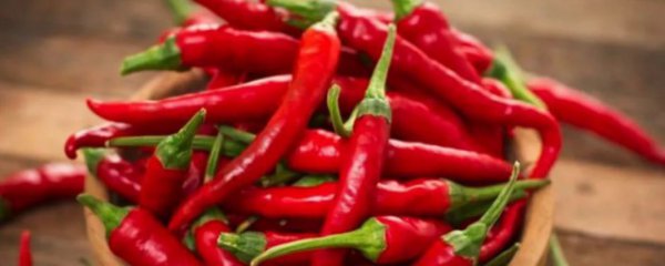 辣椒产地是哪个省